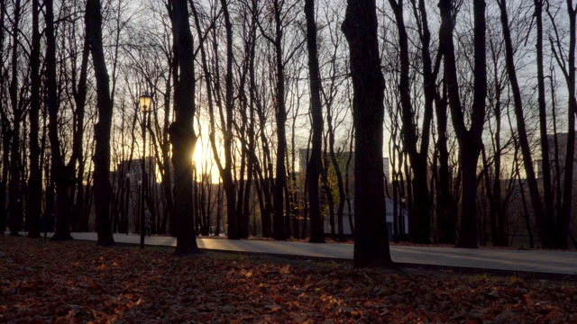 多莉拍摄的小巷在秋天公园视频素材
