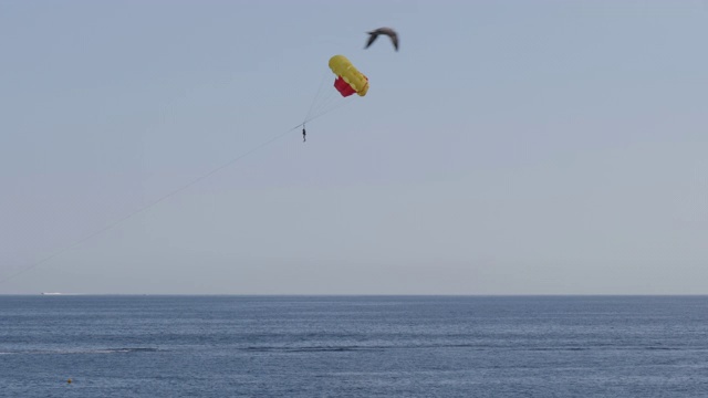 4k慢镜头显示法国尼斯海滩附近的快艇和降落伞水上运动。展示了度假者在一个明媚温暖的夏日享受寻求刺激的活动。视频素材