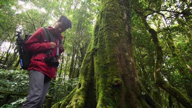 在雨林中，年轻的环保人士用手触摸树干视频素材