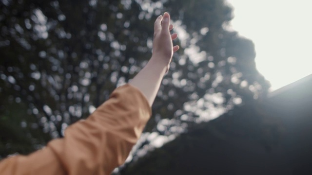 日本女人感觉太阳与她的手在树下东京，日本。视频素材