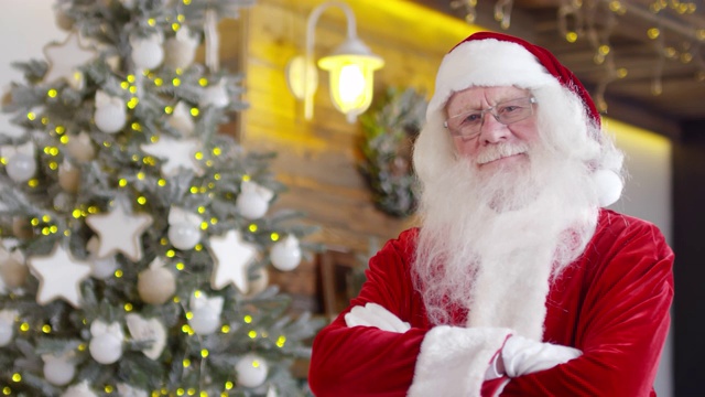 圣诞老人双臂交叉在圣诞树旁摆姿势视频下载