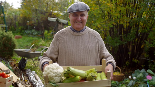 年长的白人园丁骄傲地炫耀着一箱蔬菜视频素材