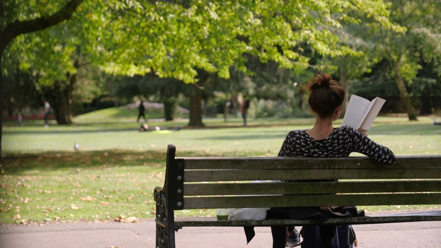 女人在公园的长椅上看书视频下载