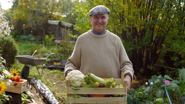 快乐的白人男性园丁与一箱新鲜蔬菜摆姿势视频素材