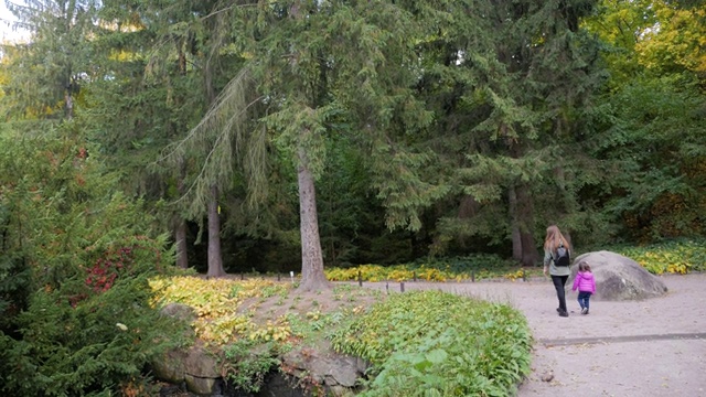 一位美丽的妈妈和她可爱的小女儿在秋天的公园里散步，欣赏着美丽的秋天大自然。幸福一家人在秋天散步。视频下载