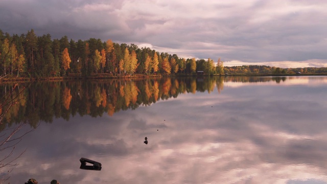 秋日的湖岸视频素材
