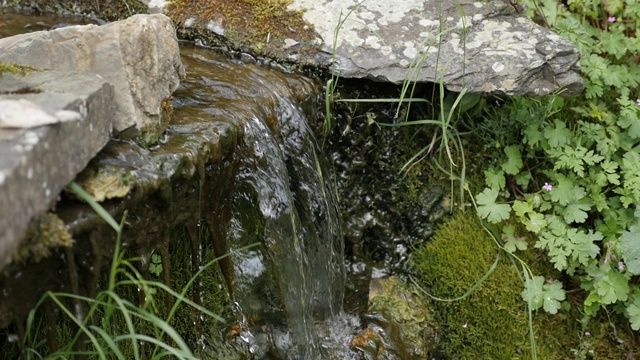 慢镜头水源隐藏在绿色自然环境近景视频素材