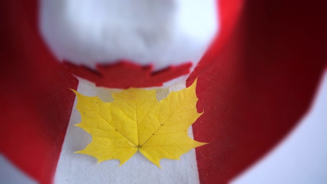 枫叶是加拿大的象征视频下载