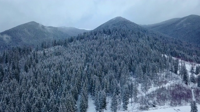 冬季山区有人居住地区的空中航拍。山村的建筑物和房屋在雪坡上覆盖着雪。乡村，冷杉和松树林。滑雪胜地的小屋视频素材