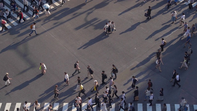 日本东京涩谷十字路口的行人俯视图视频素材