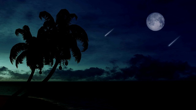 棕榈树的剪影映衬着夜空，还有流星和满月视频素材