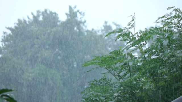 雨落下的慢动作视频素材