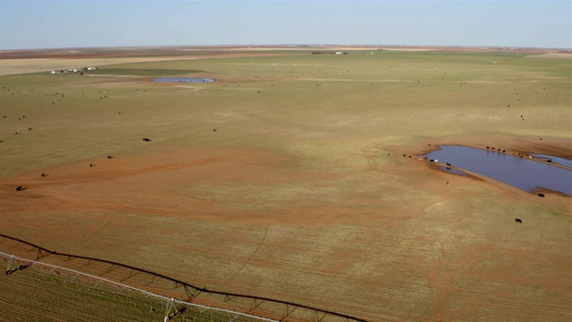 中心支点灌溉系统:牧场视频素材