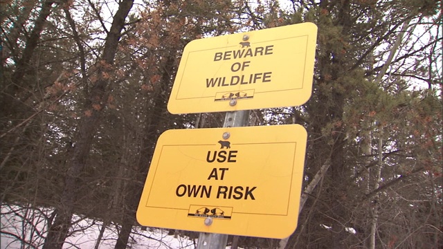 在积雪覆盖的森林中有两个警示危险野生动物的标志。视频下载