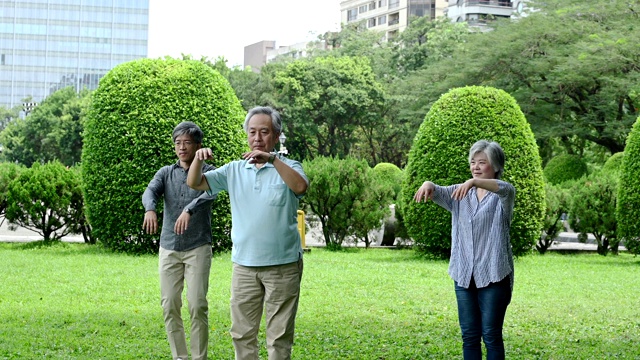 老人们在公园里练太极视频下载