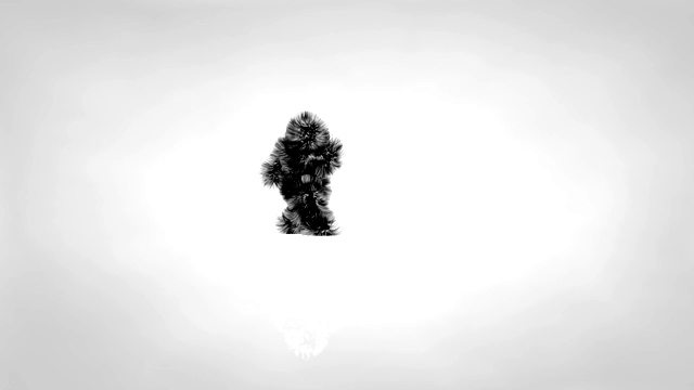 黑色猴子角色在白色背景下制作卡波耶拉视频素材