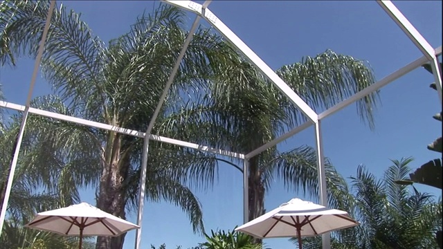 棕榈树环绕着室外的中庭。视频下载