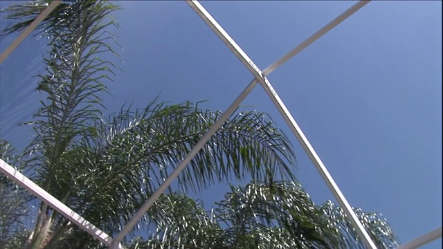 灿烂的阳光照耀着棕榈树和中庭的窗户。视频下载