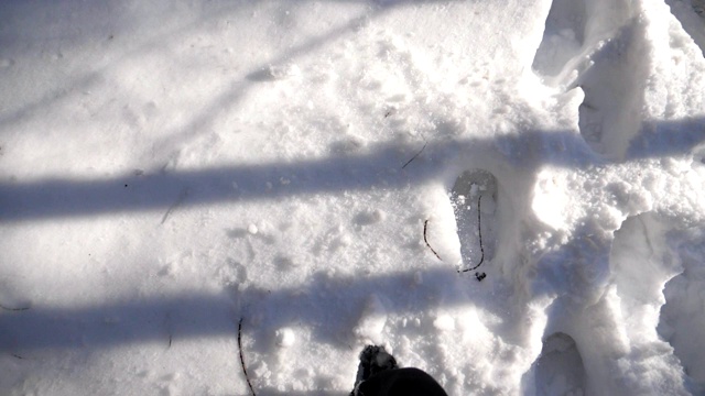 顶视图的人的腿踏在深深的雪地照亮阳光。一个难以辨认的徒步旅行者穿过积雪的冬季森林。人去户外。POV慢动作特写视频素材