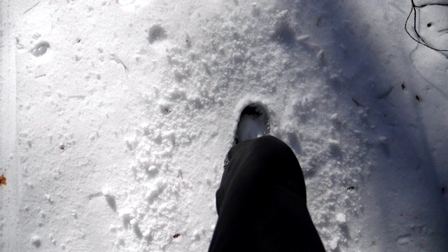顶视图的人的腿踏在深深的雪地照亮阳光。一个难以辨认的徒步旅行者穿过积雪的冬季森林。人去户外。POV慢动作特写视频素材