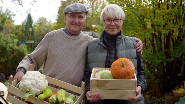 快乐的老夫妇炫耀自家种植的蔬菜视频素材