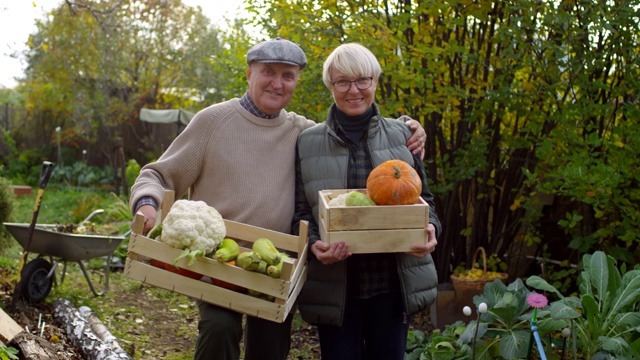 一对老年白种夫妇在花园里种植蔬菜视频素材