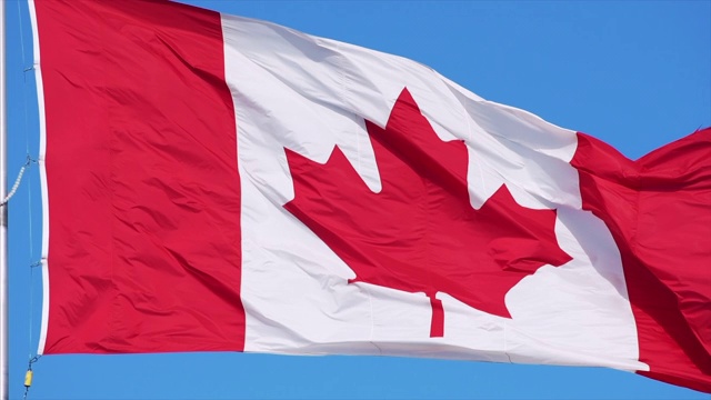 加拿大国旗白天在风中飘扬视频素材