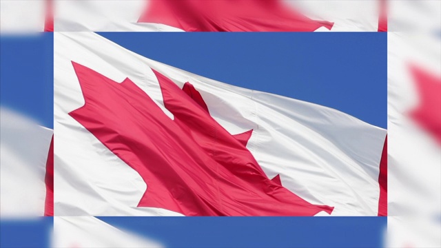 加拿大国旗白天在风中飘扬视频素材