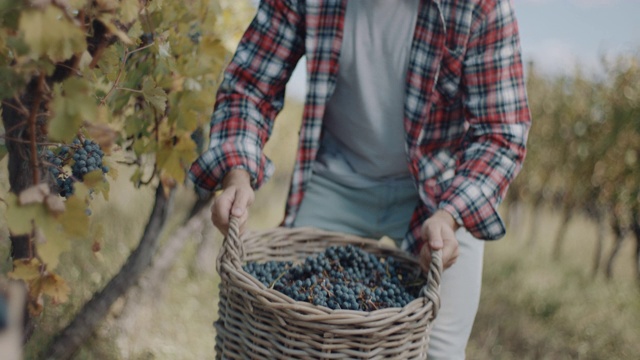 微笑的男人旁边的篮子里装满了葡萄视频素材