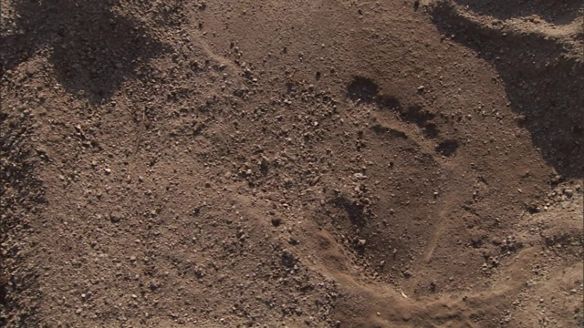 人类的脚印引导着一个挖掘地点。视频下载