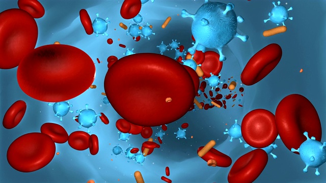 病毒感染血细胞视频素材