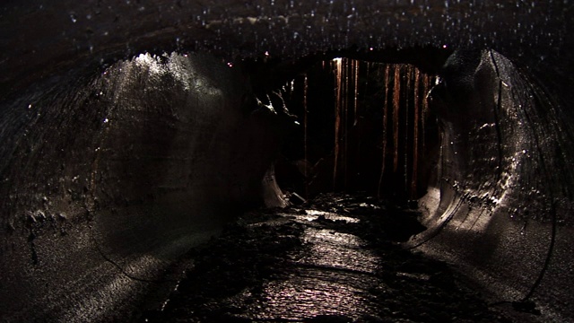 在夏威夷的蕨类森林的一个洞穴里滴水。视频下载