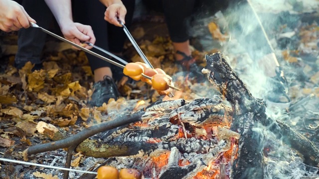 在秋天的森林里，兴高采烈的游客们在篝火旁野餐视频素材