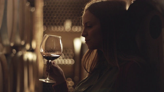 在酿酒厂品尝葡萄酒的女性视频素材