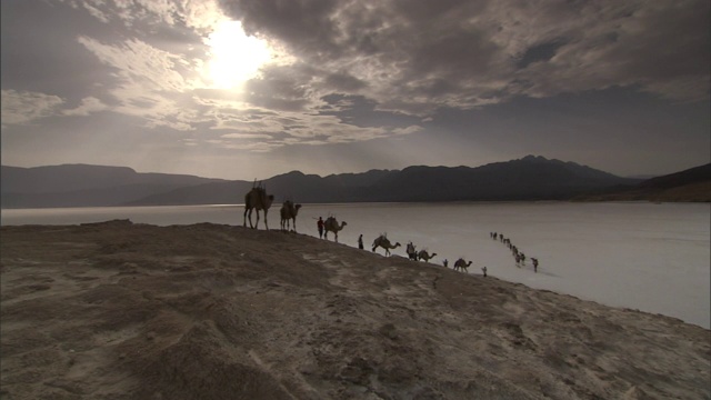 一列骆驼队穿过吉布提的盐碱地。视频素材