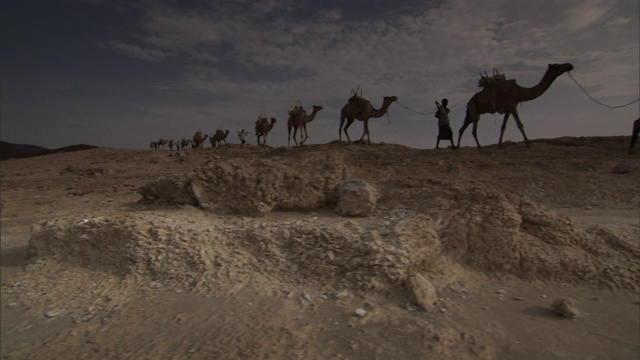一个骆驼商队接近吉布提的一个盐碱地。视频素材