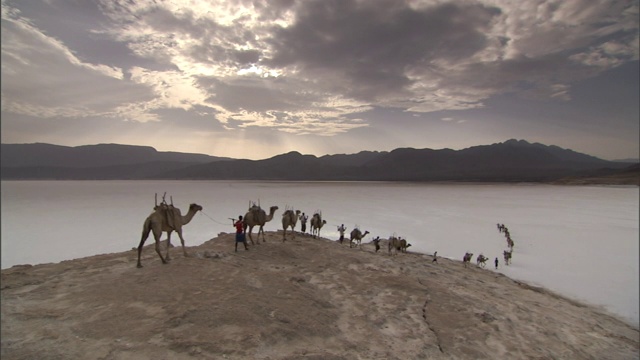 在吉布提的一个多云的日子里，一列骆驼火车到达了山脉附近的盐碱地。视频素材