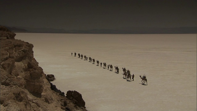 一支骆驼商队穿过吉布提的盐碱地。视频素材