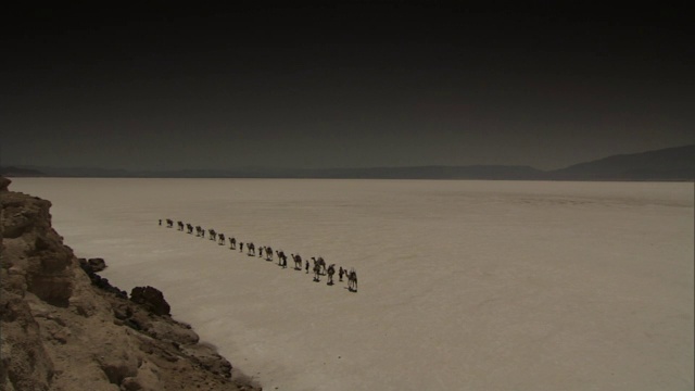 盐滩,驼队,吉布提,偏远的视频素材