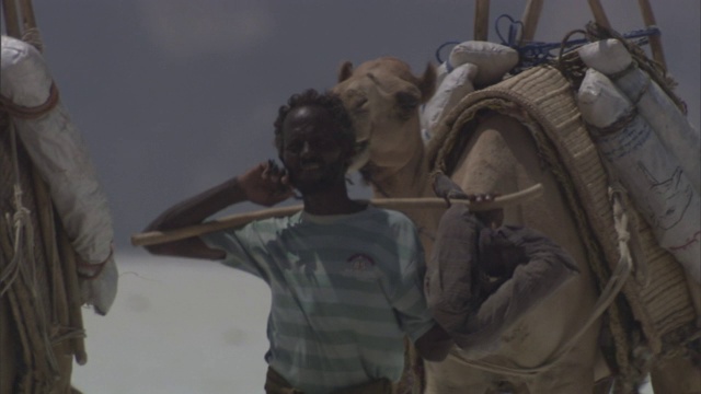 司机带领着骆驼商队穿过吉布提的盐碱地。视频素材