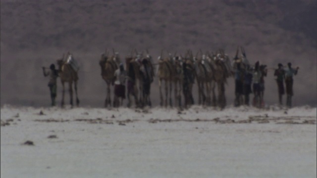 牧民们带领着骆驼商队穿过波光粼粼的盐滩。视频素材