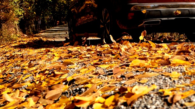 慢镜头特写:五彩缤纷的秋叶在一辆汽车后面飞舞视频素材