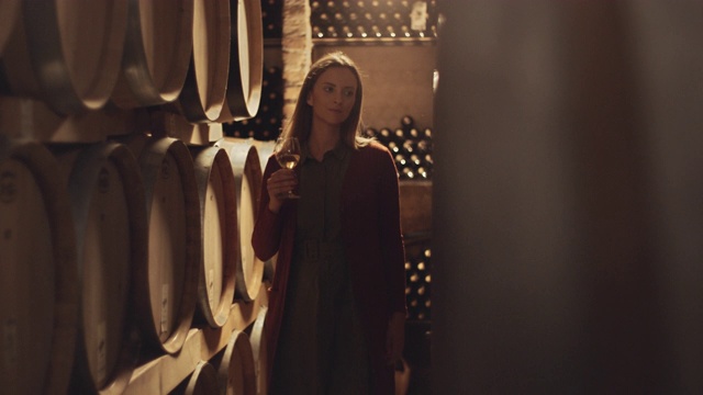 在酿酒厂品尝葡萄酒的女性视频素材