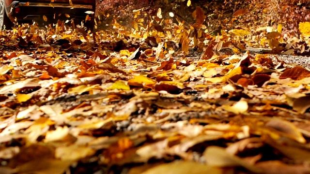 慢镜头特写:五彩缤纷的秋叶在一辆汽车后面飞舞视频素材
