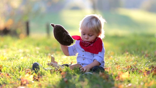 美丽的金发两岁蹒跚学步的男孩，玩木飞机和泰迪熊在日落，阳光明媚的秋天一天视频素材