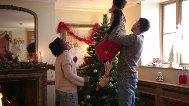 家庭装饰圣诞树视频素材