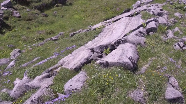 有许多岩石的高山草甸视频下载