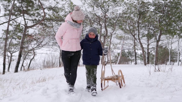 可爱的男孩穿着温暖的衣服和他的妈妈在雪天拉着木制的老式雪橇。一个在公园里滑雪的小家伙。带着孩子的妇女在森林里爬山去拉雪橇视频素材