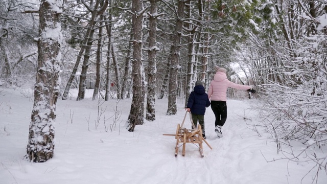 可爱的男孩穿着温暖的衣服和他的妈妈在雪天拉着木制的老式雪橇。一个在公园里滑雪的小家伙。带着孩子的妇女在森林里爬山去拉雪橇视频素材
