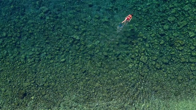 浮潜在清澈的绿松石海视频素材